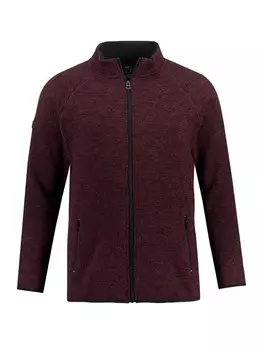 Флисовая куртка JP1880, цвет aubergine