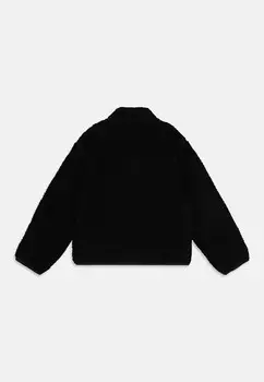 Флисовая куртка MOUNT HOPE UNISEX Dickies, черный