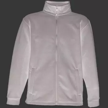 Флисовая куртка на молнии Thor 350 мужская модель REGATTA, цвет gris