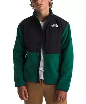 Флисовая куртка с молнией во всю длину Big Boys Denali The North Face, зеленый