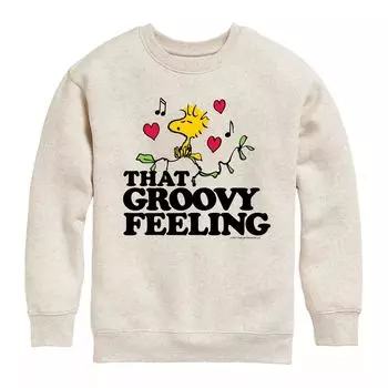 Флисовая толстовка Peantus Groovy Feeling для мальчиков 8–20 лет Licensed Character