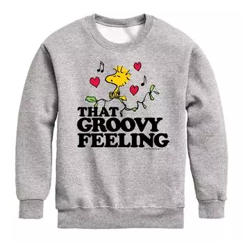 Флисовая толстовка Peantus Groovy Feeling для мальчиков 8–20 лет Licensed Character, серый