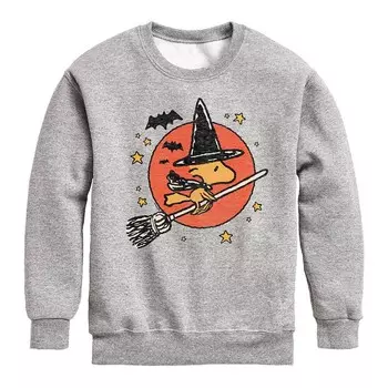 Флисовая толстовка Peanuts Woodstock Witch для мальчиков 8–20 лет Licensed Character, цвет Heather Gray