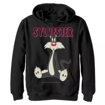 Флисовая толстовка с портретом Looney Tunes Sylvester для мальчиков 8–20 лет Licensed Character