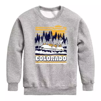 Флисовая толстовка с рисунком Peanuts Colorado для мальчиков 8–20 лет Licensed Character, серый
