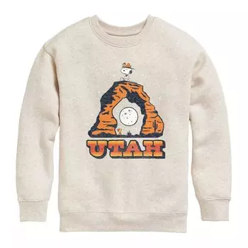Флисовая толстовка с рисунком Peanuts Utah Arches для мальчиков 8–20 лет Licensed Character