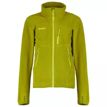 Флисовая жилетка Bergans Kid's Runde Youth, цвет Dark Green Oasis