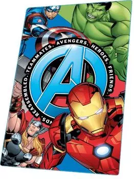 Флисовое одеяло | 175 x 140 см - Цвет: красный рококко - Размер: 175 x 140 см KIDS LICENSING, мультиколор