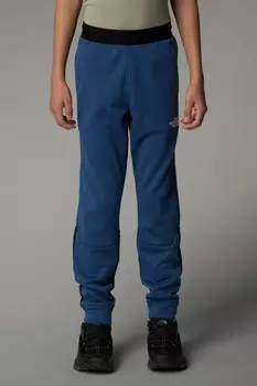 Флисовые джоггеры для горной атлетики The North Face, синий