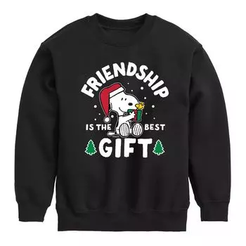 Флисовый подарок Peanuts Friendship для мальчиков 8–20 лет Licensed Character