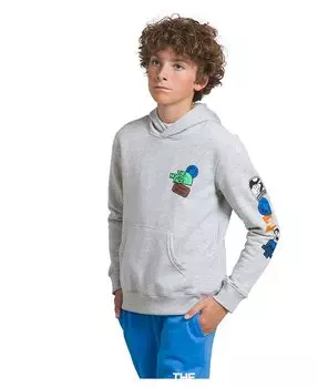 Флисовый пуловер с капюшоном Big Boys Camp The North Face, серый