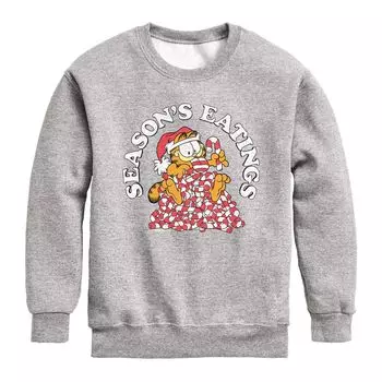 Флисовый свитшот Garfield Seasons Eatings для мальчиков 8–20 лет Licensed Character