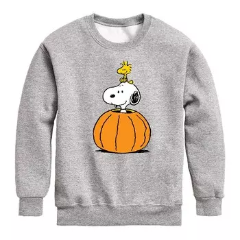 Флисовый свитшот Peanuts Snoopy Woodstock Pumpkin для мальчиков 8–20 лет Licensed Character, цвет Heather Gray