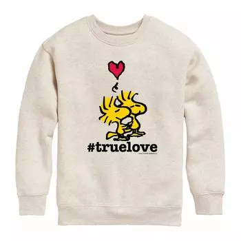 Флисовый свитшот Peanuts TrueLove Woodstock для мальчиков 8–20 лет Licensed Character