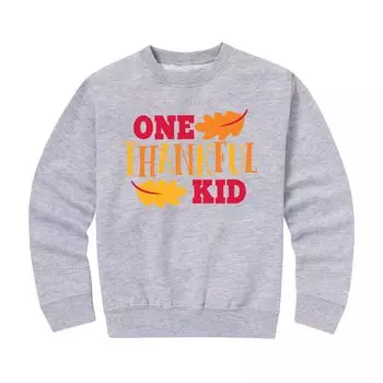 Флисовый свитшот с рисунком Onethankful Kid для мальчиков 8–20 лет Licensed Character