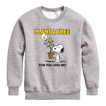 Флисовый свитшот с рисунком Peanuts Plant A Tree для мальчиков 8–20 лет Licensed Character