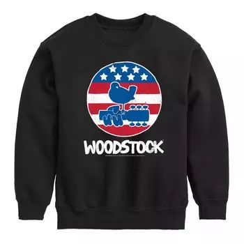 Флисовый свитшот Woodstock Americana для мальчиков 8–20 лет Licensed Character