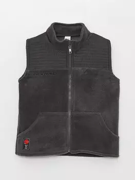 Флисовый жилет на молнии для маленьких мальчиков с высоким воротником LCW baby, антрацит