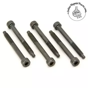 Floyd Rose FROSLSBP Оригинальные установочные винты блока седловых струн (6 шт.) - черные FROSLSBP String Block Set Screw Set of 6