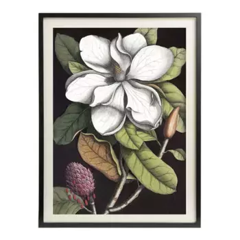 FND BLCK Flowers PSTR Studio Sheet + Marco Thor El Corte Ingls