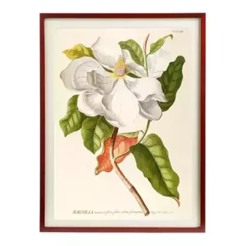 FND WHT Flowers PSTR Студийный лист + Marco Thor El Corte Ingls