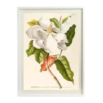 FND WHT Flowers PSTR Студийный лист + Marco Thor El Corte Ingls