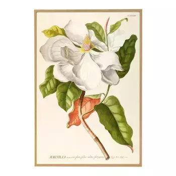 FND WHT Flowers PSTR Студийный лист + рамка для домашнего офиса El Corte Ingls