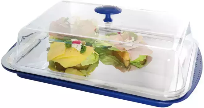 Форма для торта APS "Thermo Tray Set", функция охлаждения с 2 пакетами льда 29х14х43 см, синий
