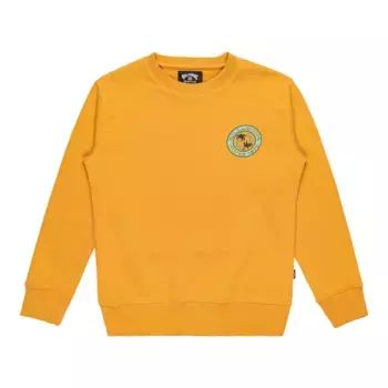 Foundation Billabong Детская толстовка, жёлтый
