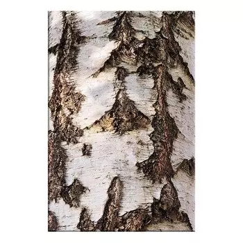 Фреска Artgeist Beautiful Structure, разноцветный