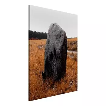 Фреска Artgeist Field Signpost, коричневый