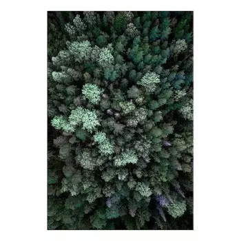 Фреска Artgeist Flying Over Forest, разноцветный