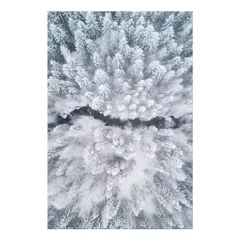 Фреска Artgeist Tree Crowns, разноцветный