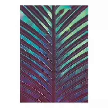 Фреска Komar Hide, разноцветный