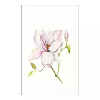 Фреска Komar Magnolia Shine цвет rosa/grn/wei