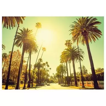 Фреска Komar Palm Alley, разноцветный