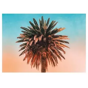 Фреска Komar Palm Tree, разноцветный