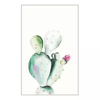 Фреска Komar Prickly Pear Watercolor, разноцветный