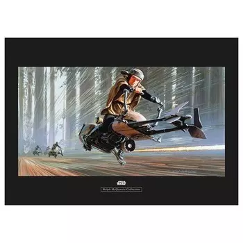 Фреска Komar Star Wars Endor Speeder, разноцветный