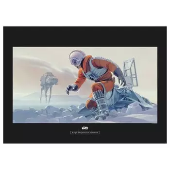 Фреска Komar Star Wars Hoth Battle Pilot, разноцветный