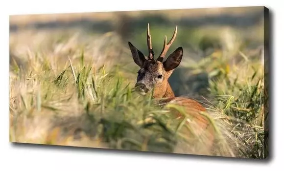 Фреска Tulup Hirsch, коричневый