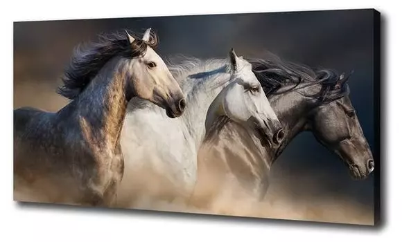 Фреска Tulup Pferde im Galopp, коричневый