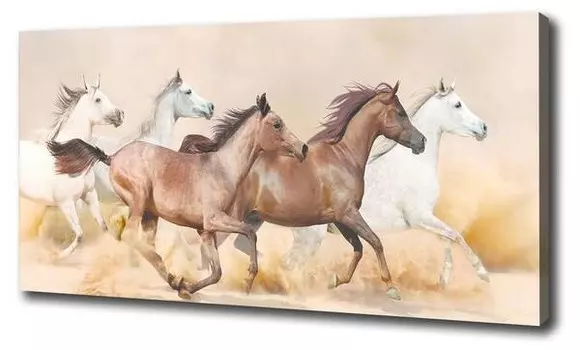 Фреска Tulup Pferde im Galopp, коричневый