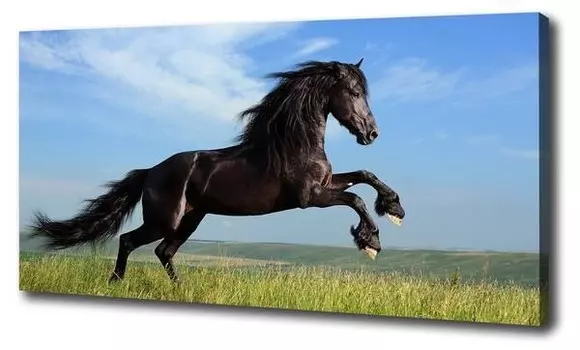 Фреска Tulup Rappe Wiese, черный