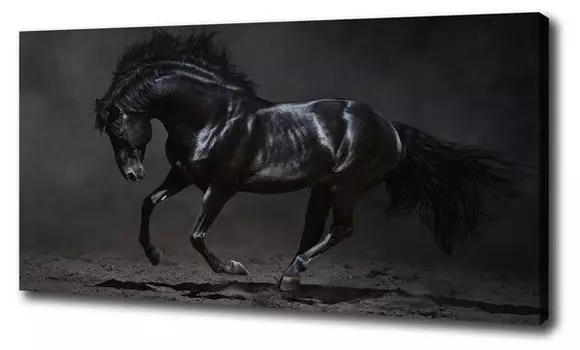 Фреска Tulup Schwarzes Pferd, черный