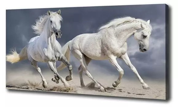 Фреска Tulup Strand weie Pferde, белый