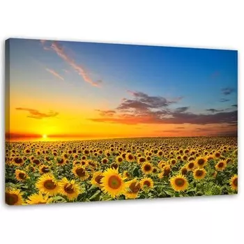 Фрески Feeby Sonnenblumen Sonnenuntergang, синий