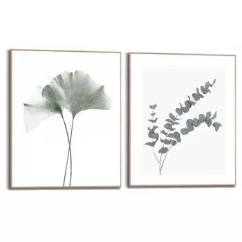 Фрески Reinders Set Eukalyptus, зеленый