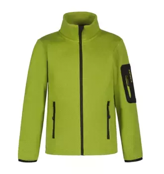 Функциональная куртка Icepeak "K FLEECE JACKE KEVELAER", с высоким воротником-стойкой, цвет Asparagus