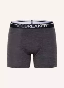 Функциональное нижнее белье anatomica, шорты-боксеры из шерсти мериноса Icebreaker, серый